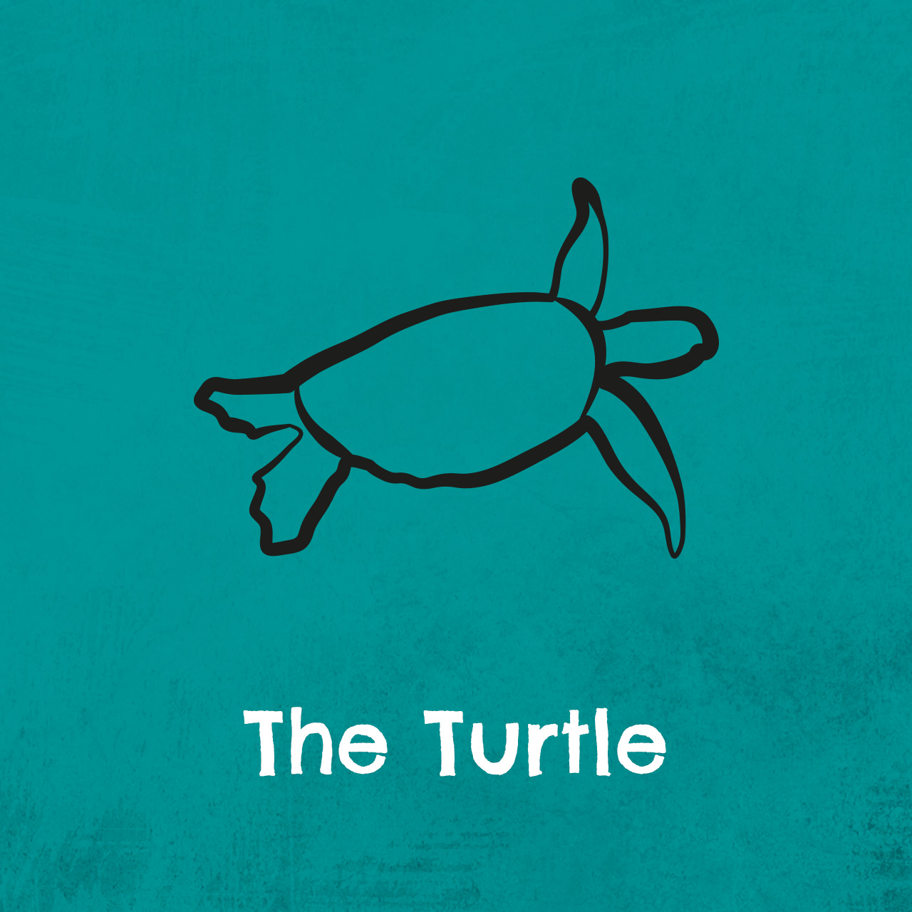 The Turtle