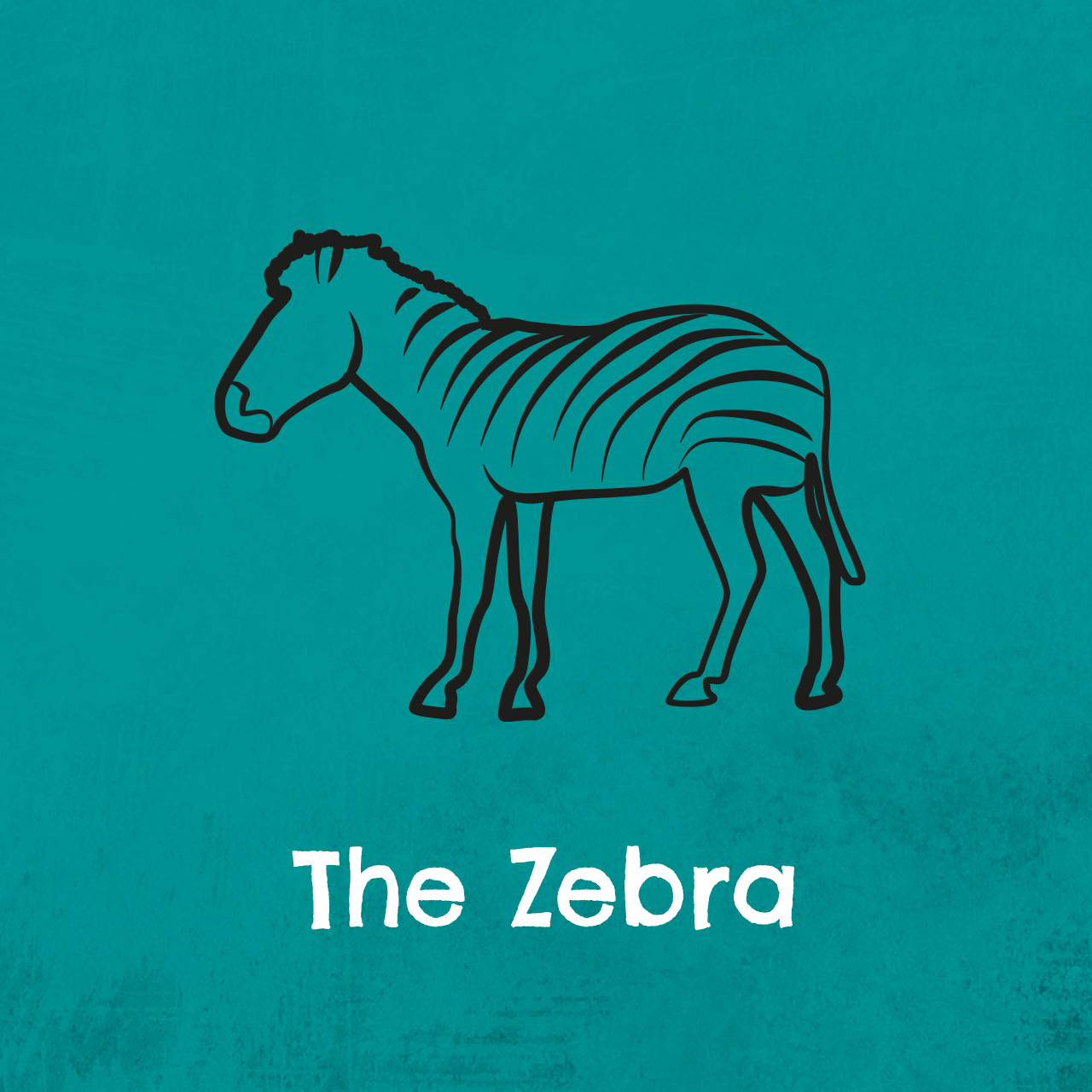 The Zebra