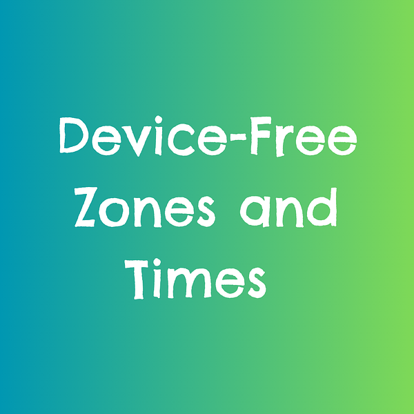 2. Device Free Zones & Times