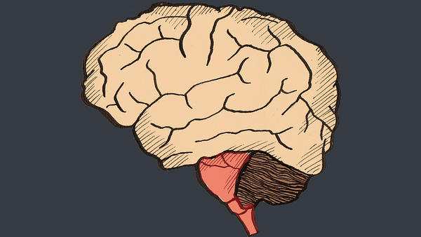 BRAINSTEM