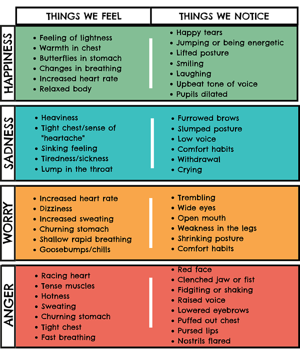 Recognising Emotions